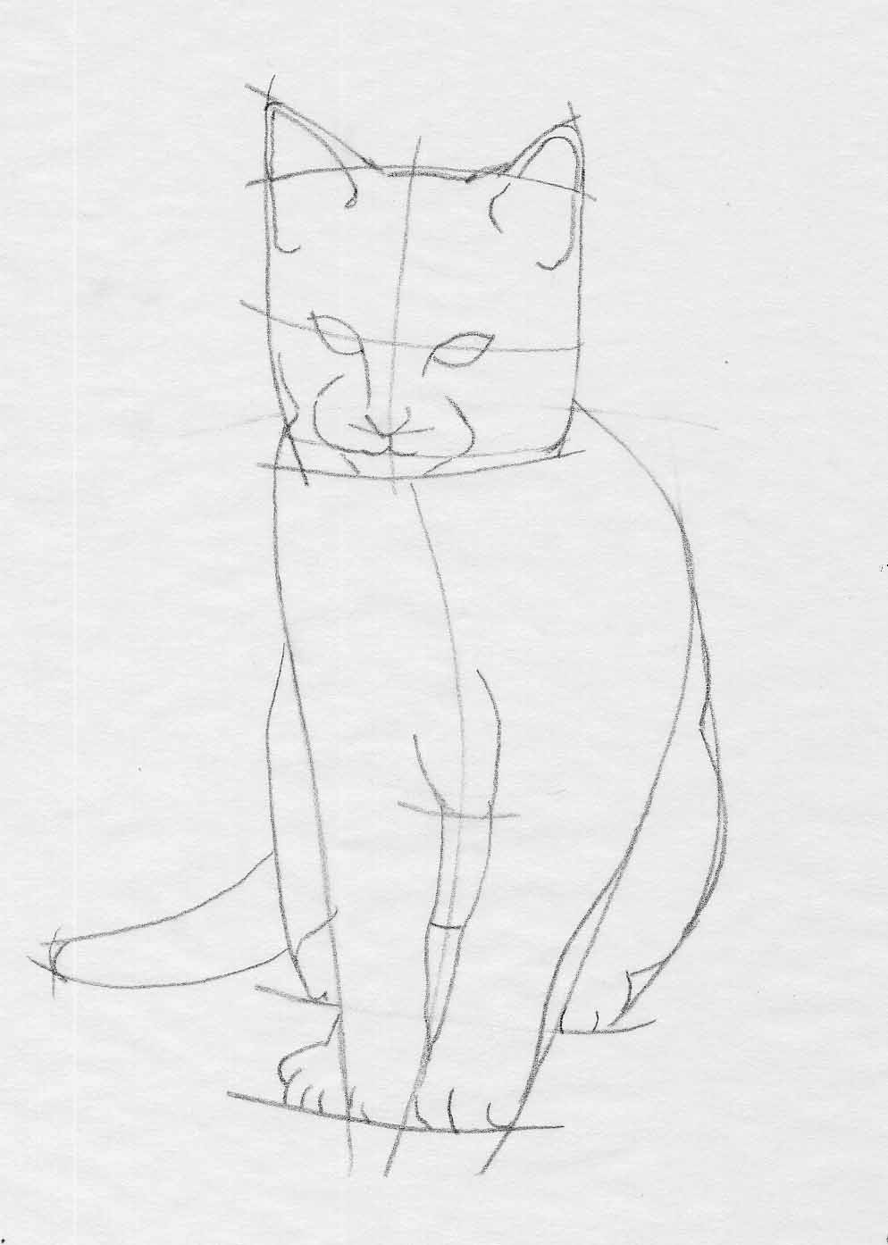 cat drawing tutorial part 3