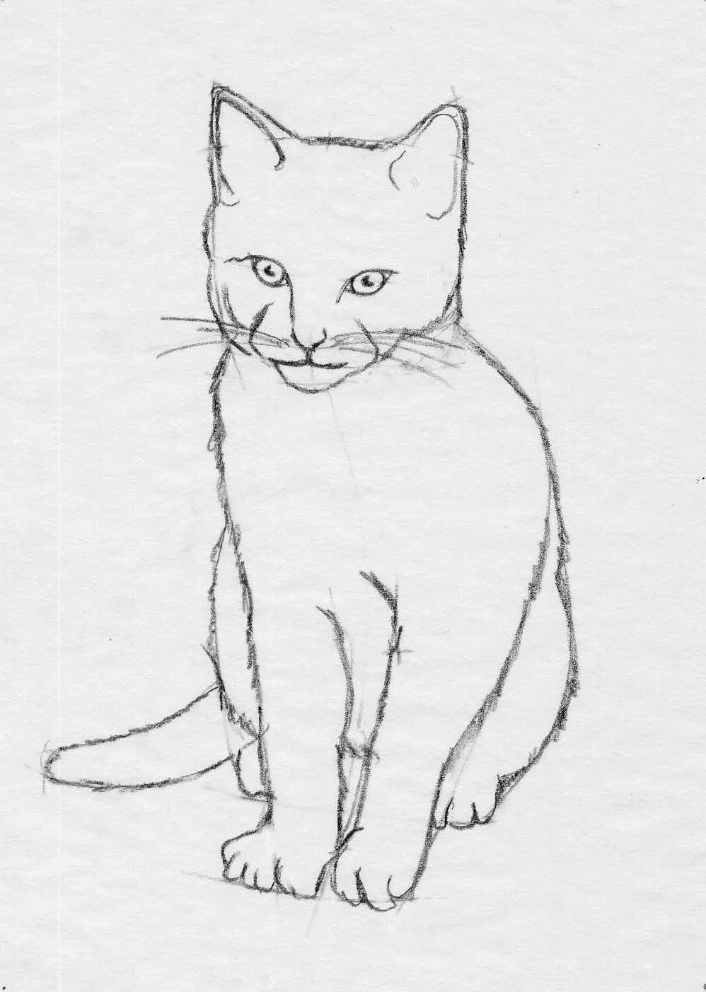easy geometric cat drawing