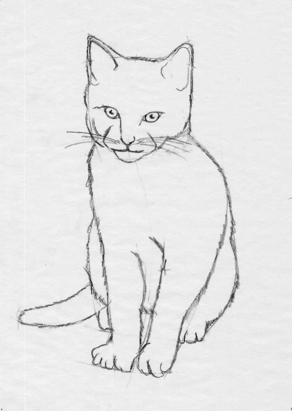 easy cat pictures to draw