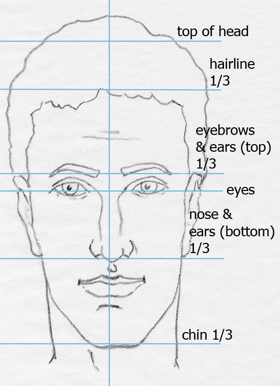 face drawing with proportion labeled