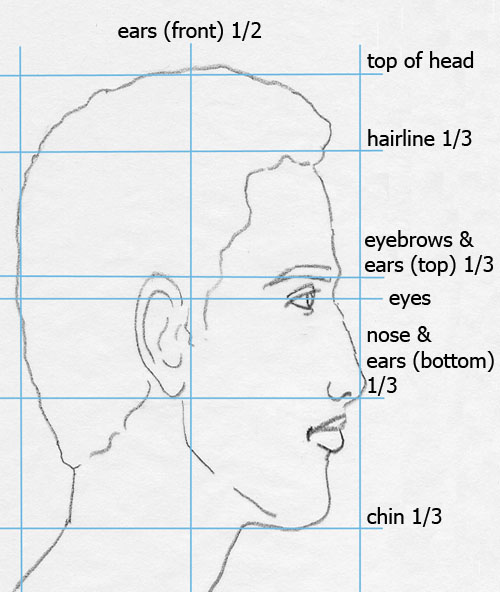 face profile drawing with proportions labeled