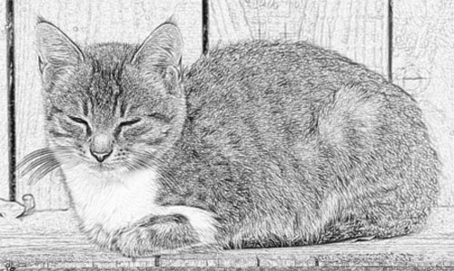 clipart tabby cat - photo #10